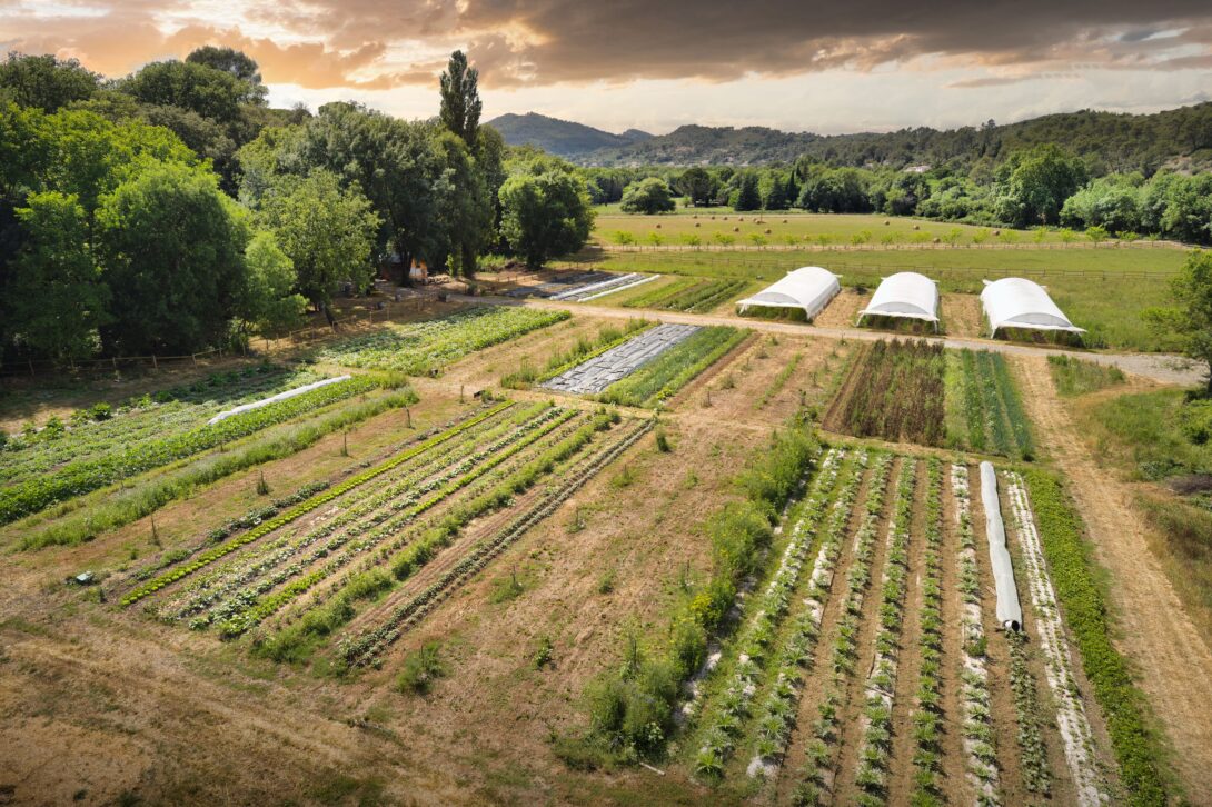 Matinée porte ouverte Potagers et Compagnie