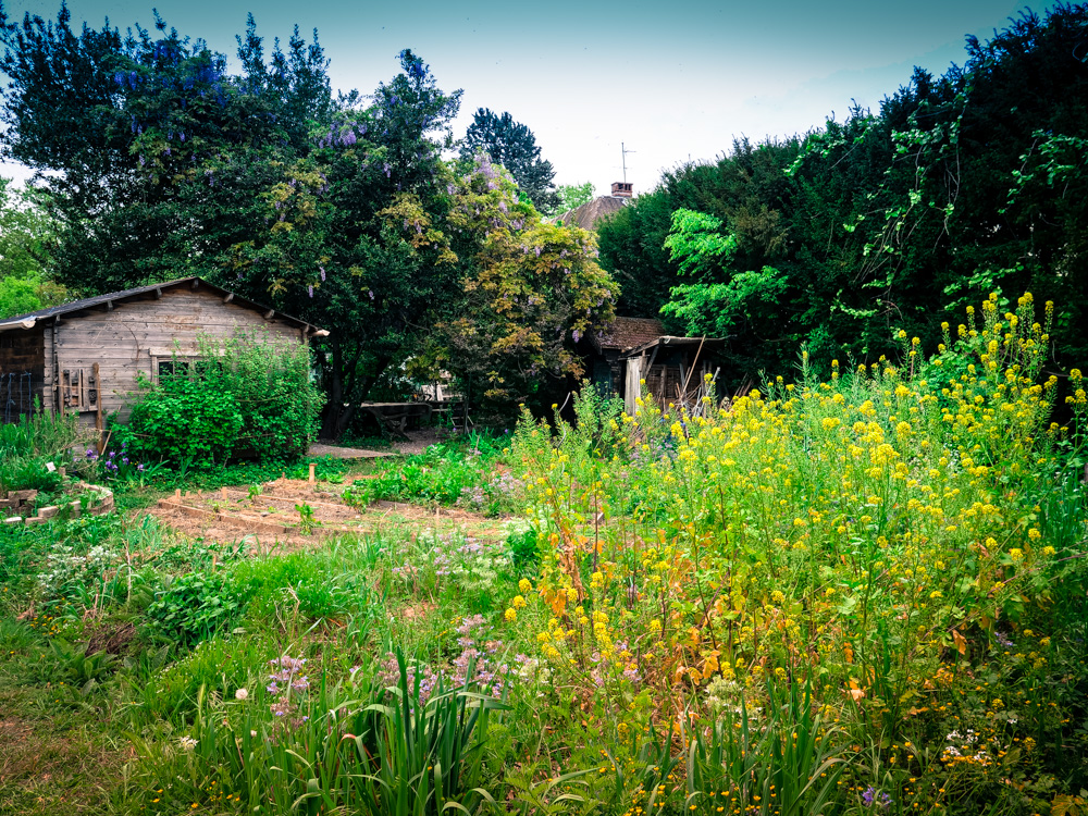 Portes ouvertes – Jardin du sans soucis