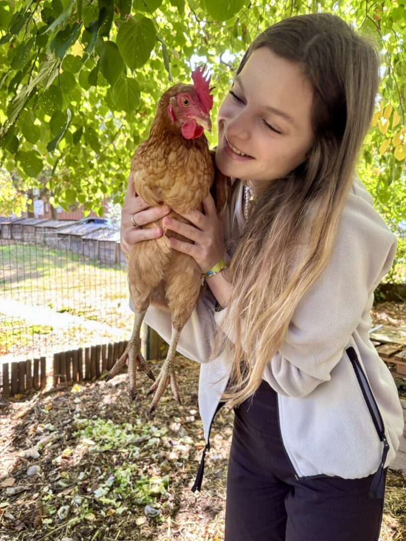 L&rsquo;épicerie éphémère Dunes Fertiles, son atelier culinaire et son poulailler éco-responsable