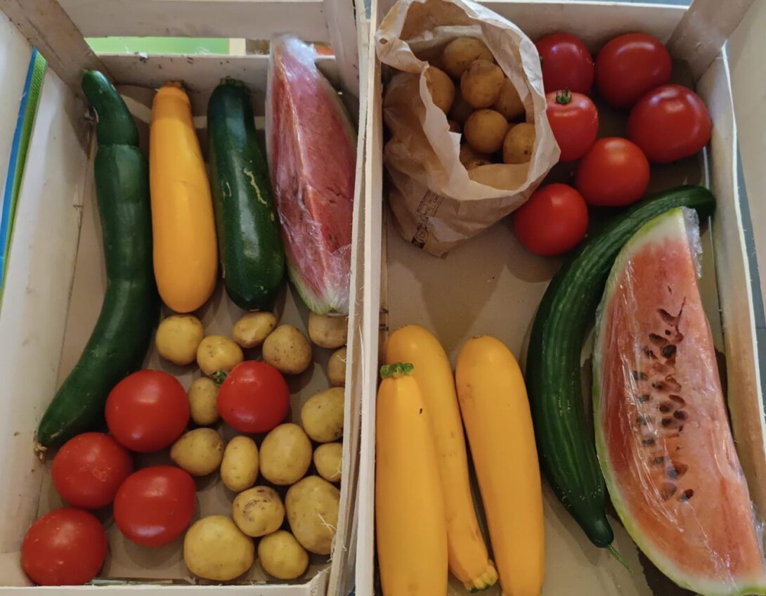 L&rsquo;épicerie éphémère Dunes Fertiles, son atelier culinaire et son poulailler éco-responsable