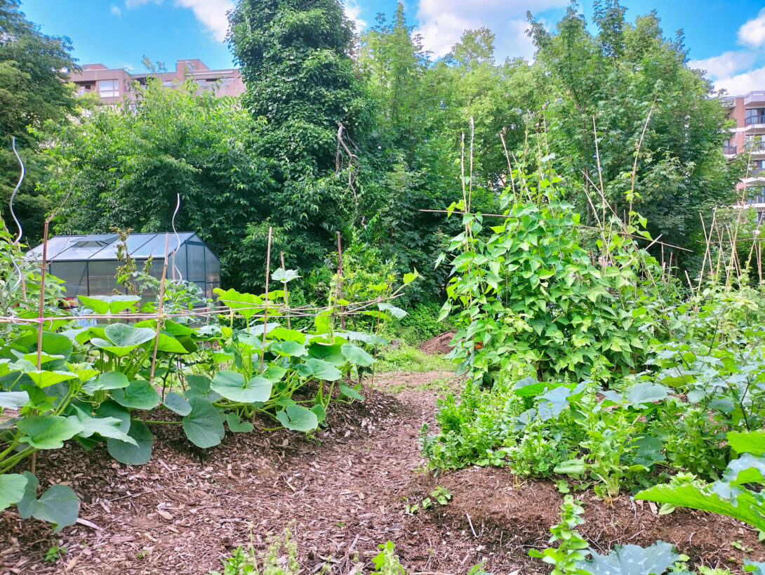 Portes ouvertes à la Parcelle Fruits-Dupuis