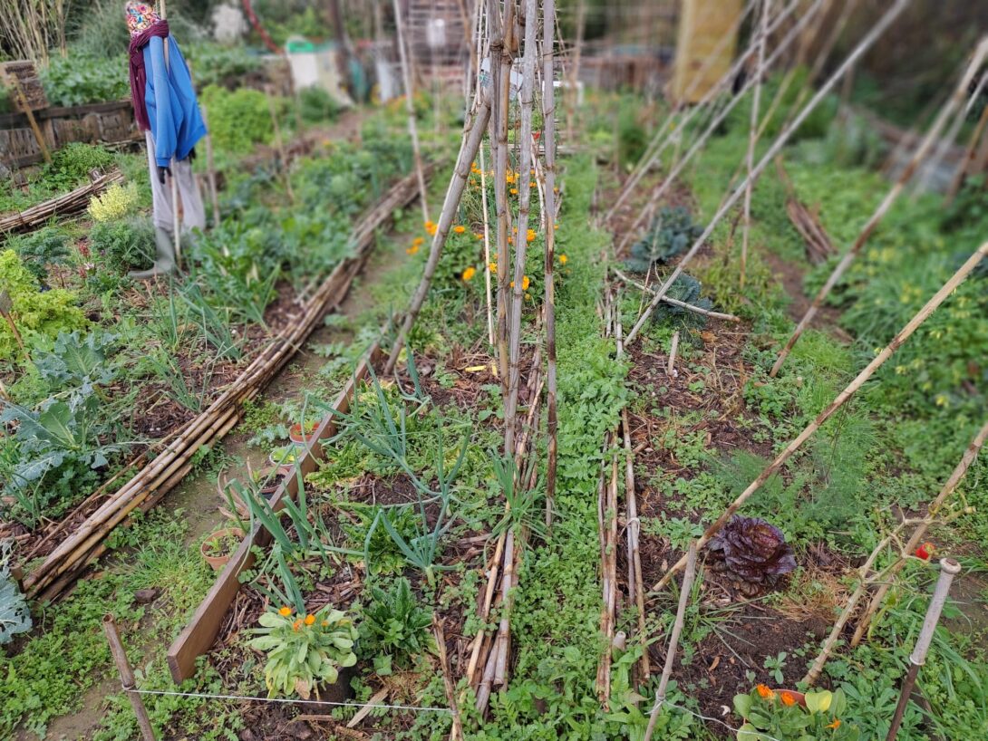 Association Pollen, visite du potager et table ronde « manifeste de l&rsquo;agriculture urbaine »