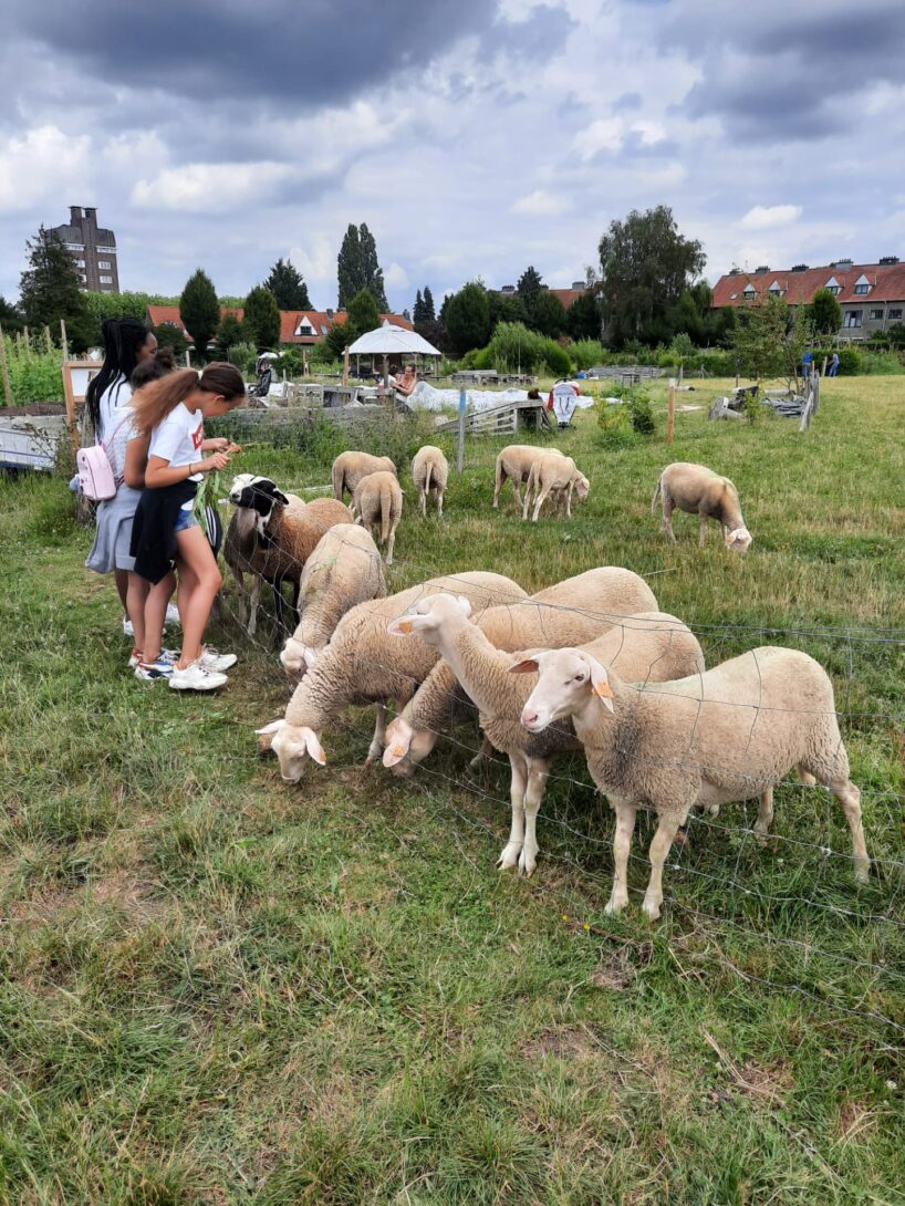 Fête de clôture des 48h et de Nourrir Bruxelles à la Ferme du Chant des Cailles