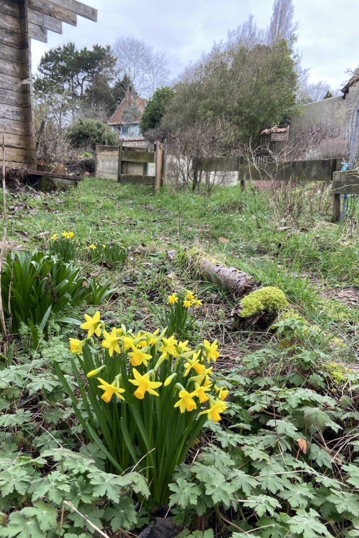 Open Day : Les projets participatifs de l’Hospice Communal & du Karrenberg