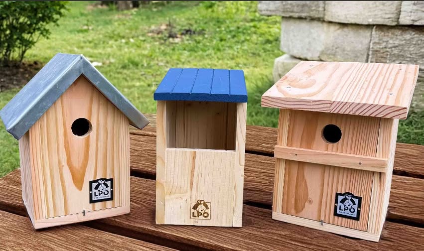 Atelier « Accueil de la biodiversité au jardin »