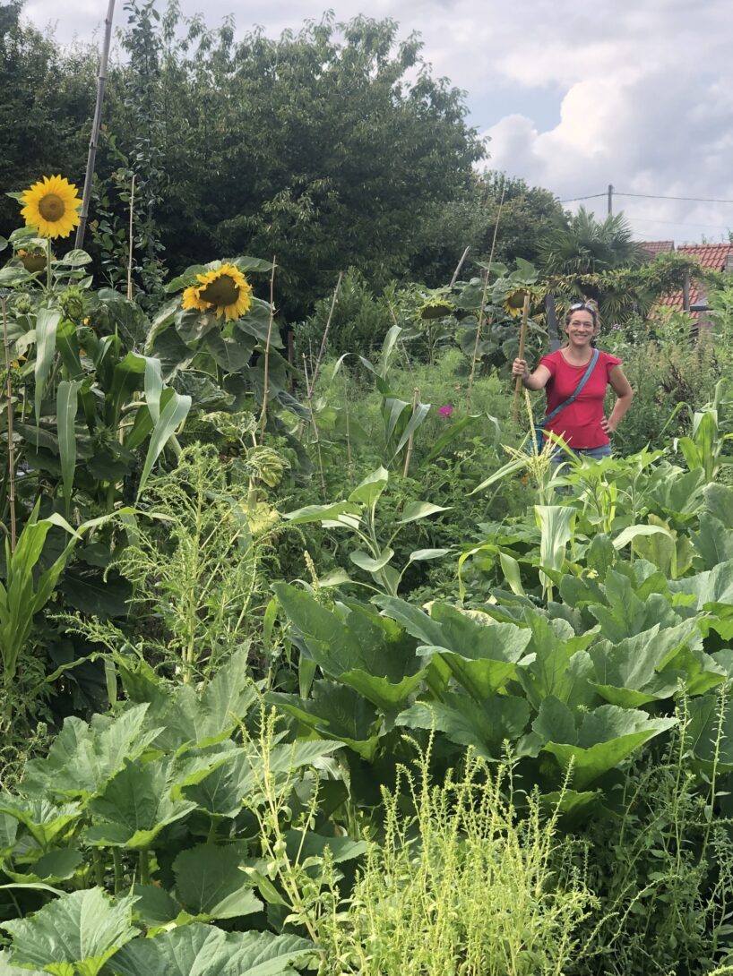 Projet SYNTROPOS: Visite d&rsquo;un espace en agroforesterie syntropique