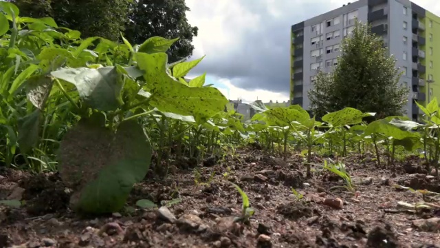 Coin « Lecture nature »
