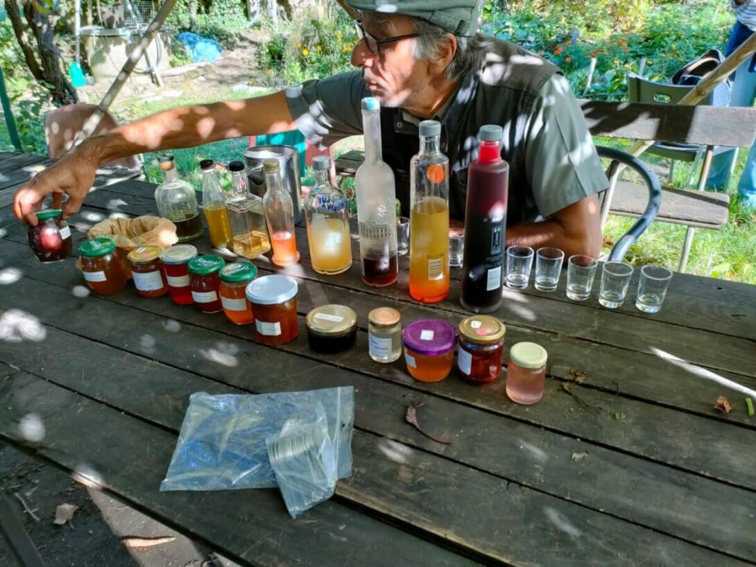 Vélorution « nature comestible urbaine »