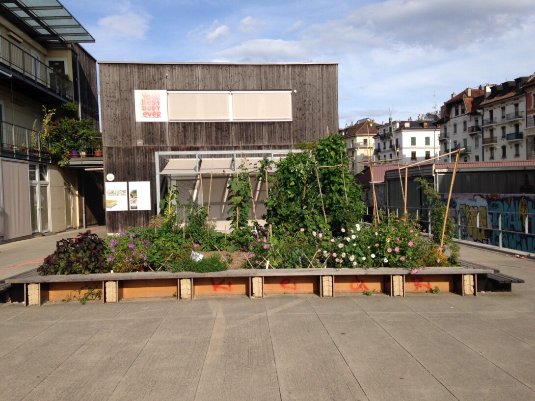 Potager des Voies Couvertes