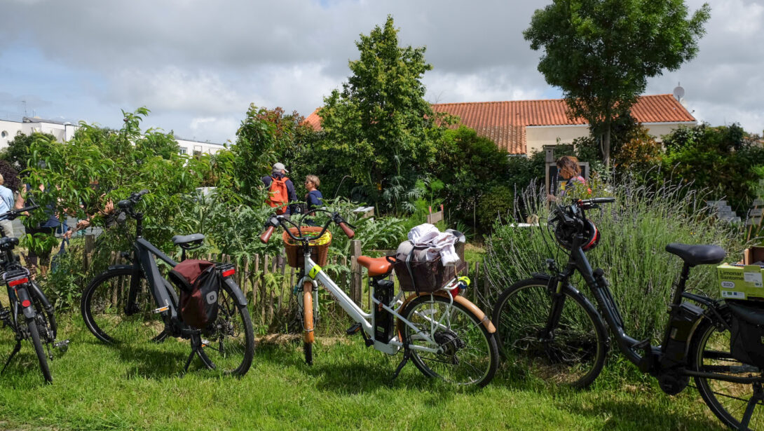 Balade gourmande à vélo dans les fermes de Saint-Xandre !