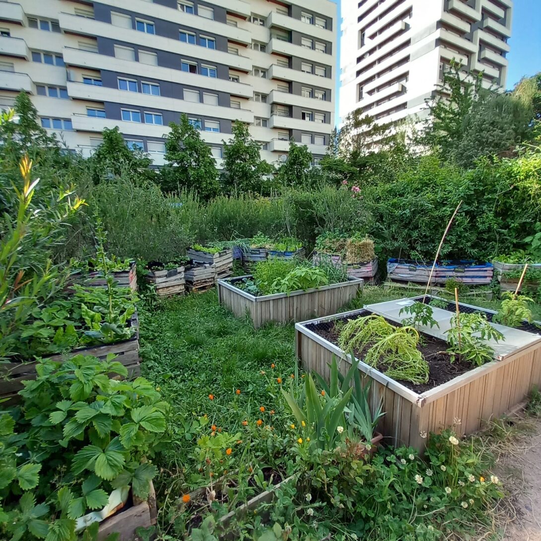 Visite du jardin et troc de graines