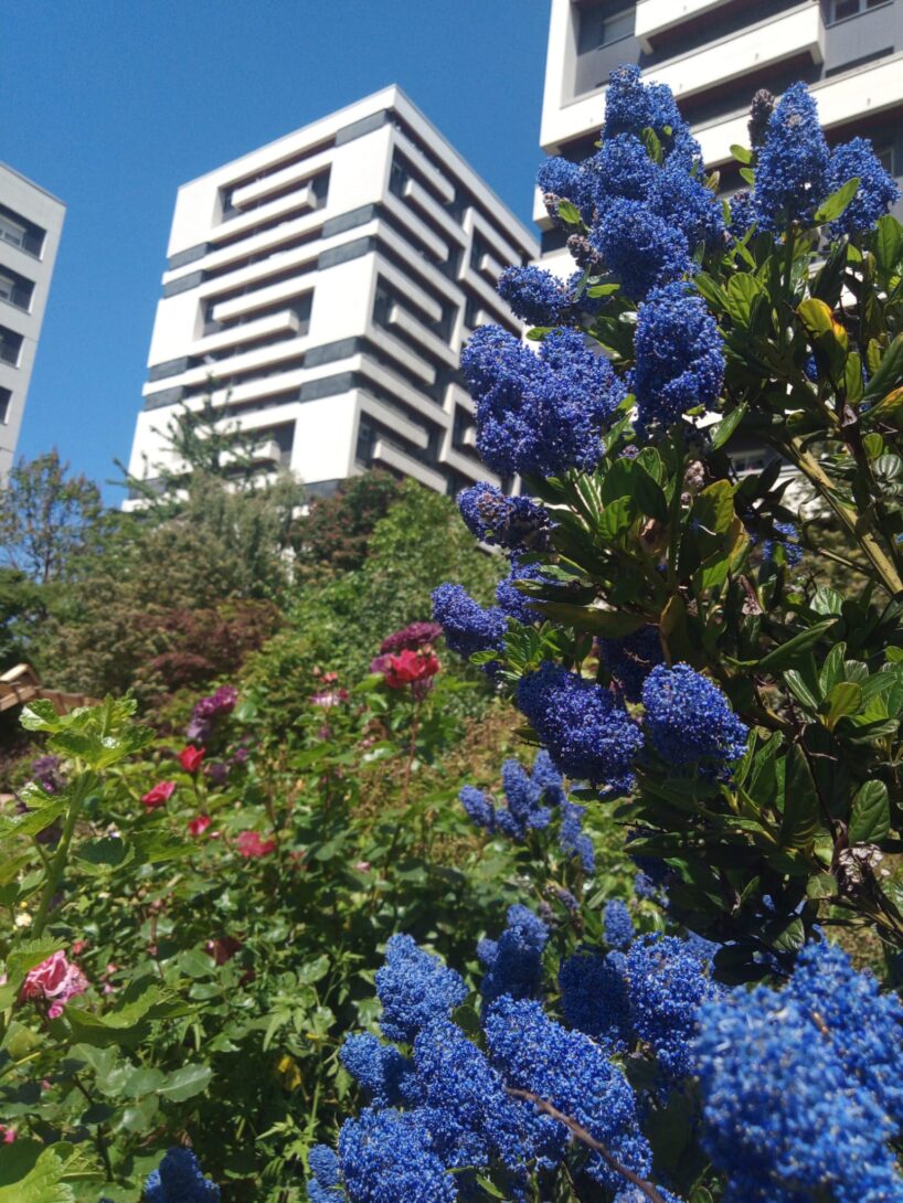 Visite du jardin et troc de graines