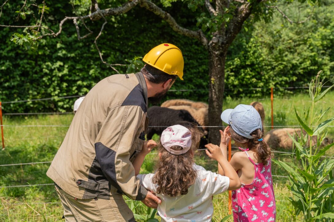 Verger Least Crossfruit