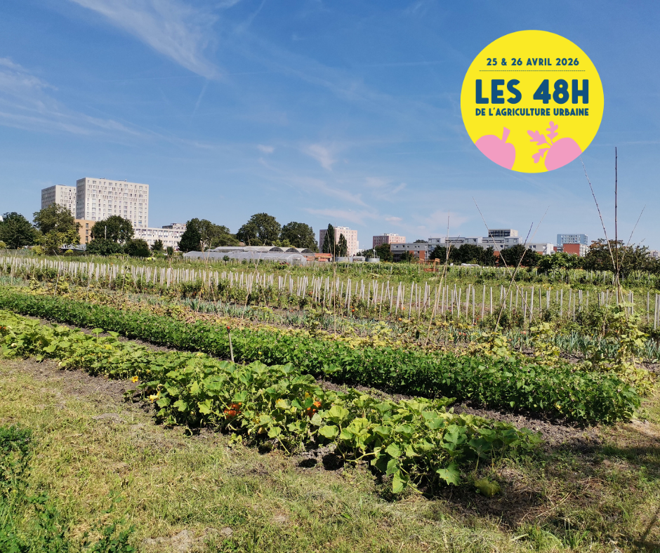 Saint-Denis : Atelier Cuisine 🍽️