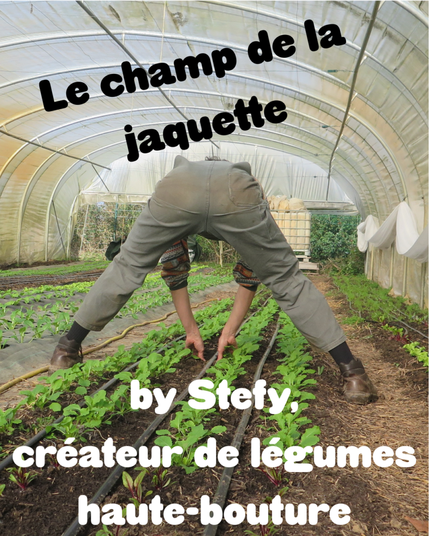 Vente de légumes et visite du Champ de la Jaquette