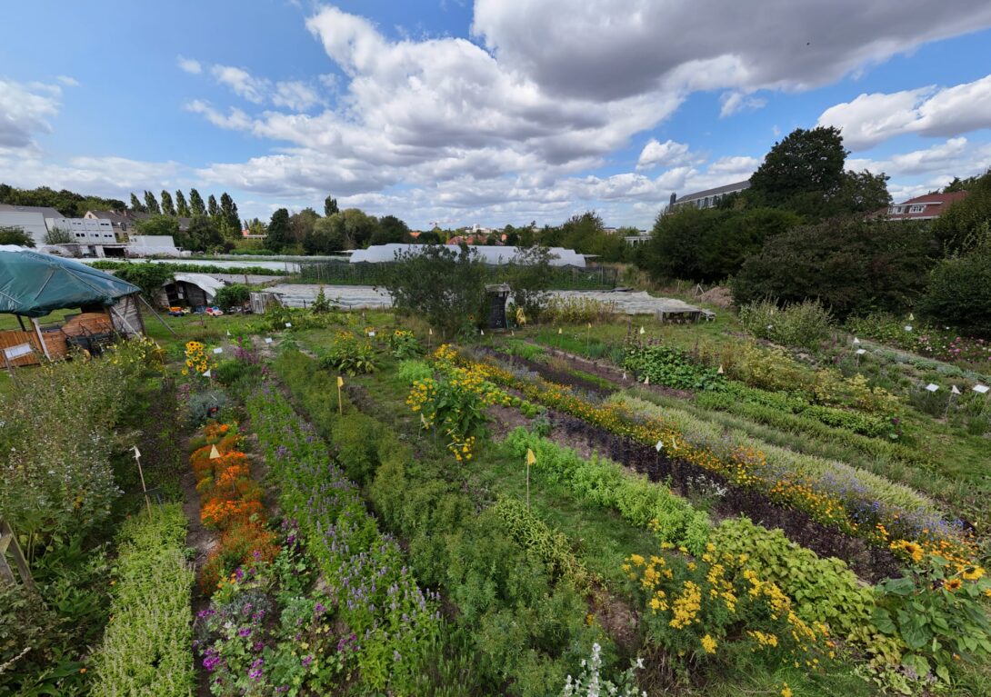 Chantier d’embellissement et auberge espagnole au Chant des Cailles