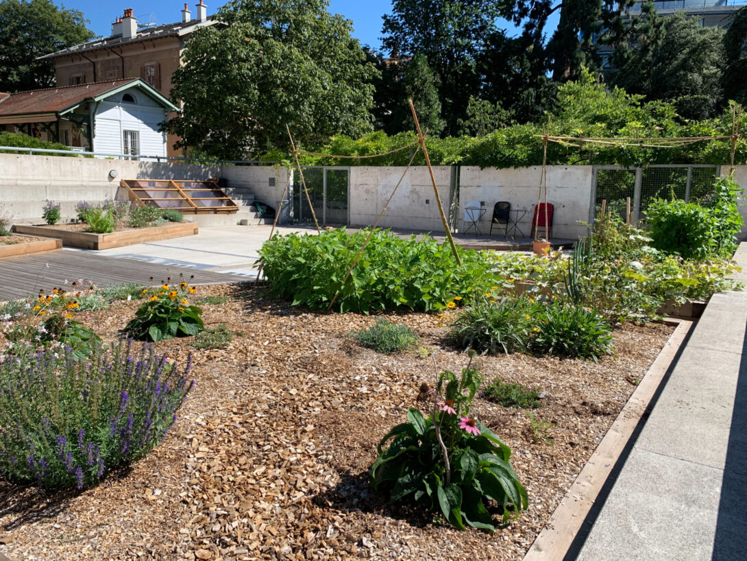 Jardin de la Martine