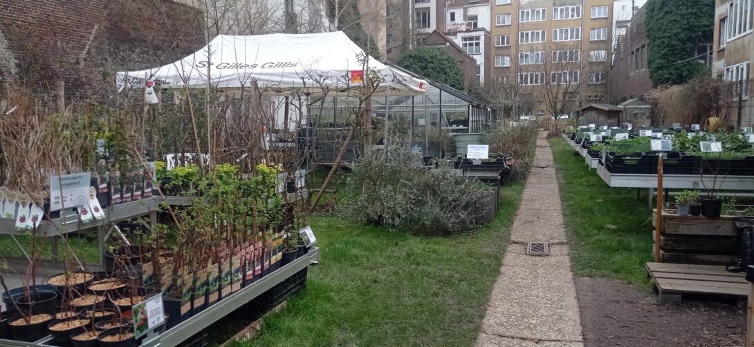 La Pousse qui pousse