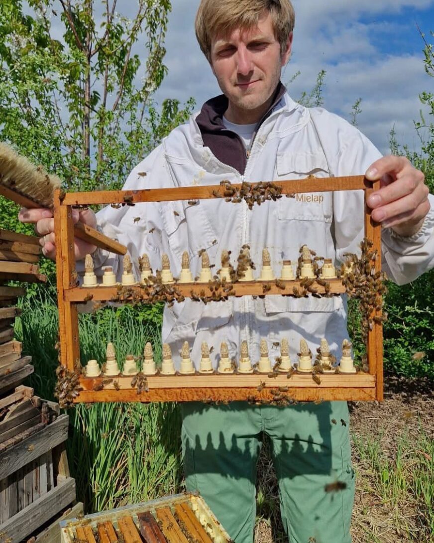 Visite miellerie Mielapi et dégustation de miels
