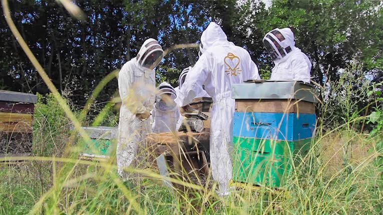Animation apiculture avec Mielapi