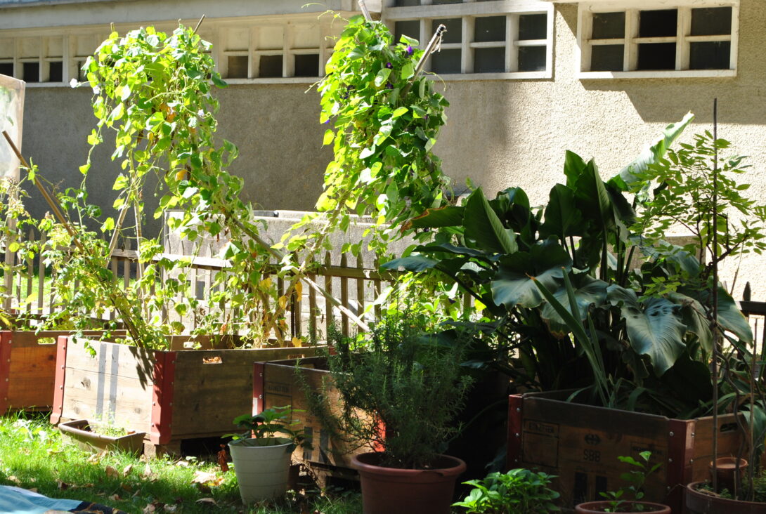 Jardin des Trois Platanes