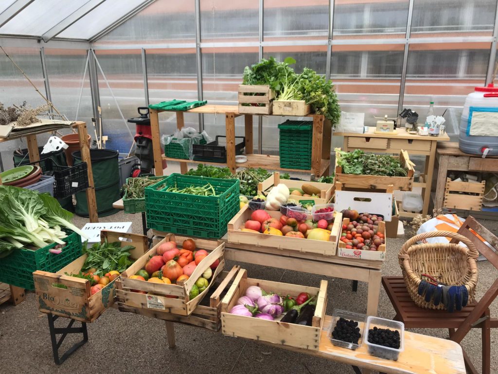 Potagers d&rsquo;Ecojonx