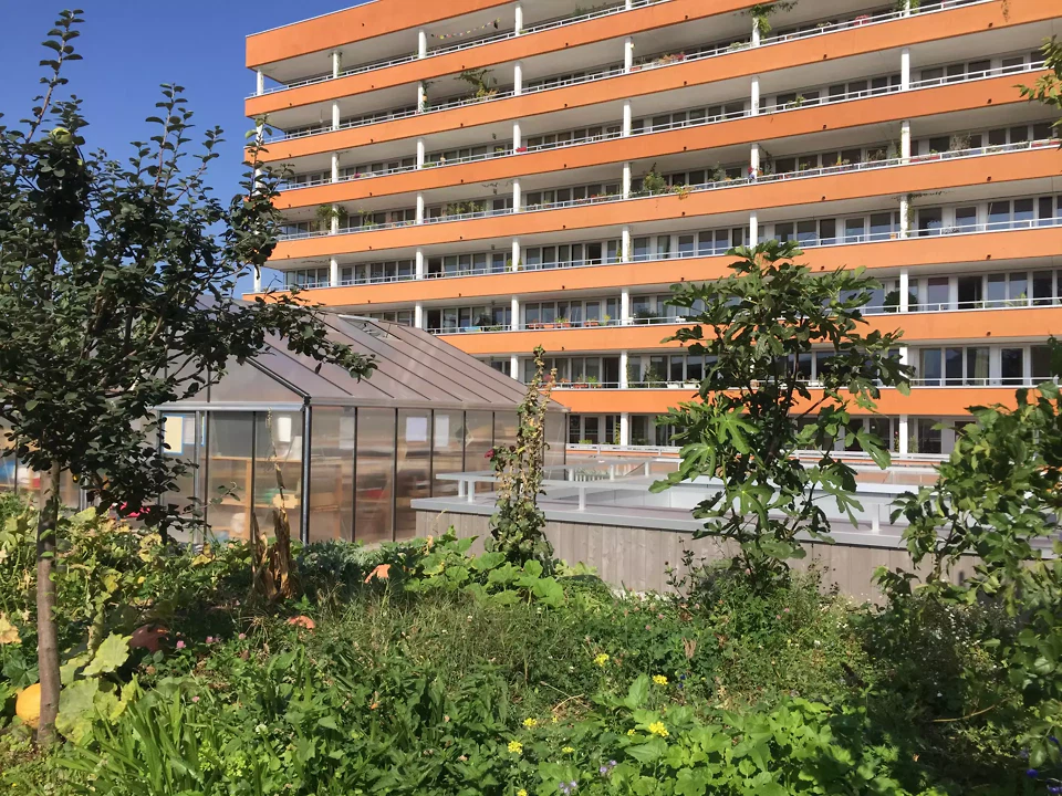 Potagers d&rsquo;Ecojonx