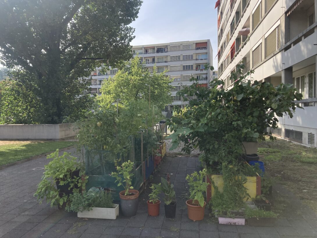 Bacs Potagers du Vélodrome