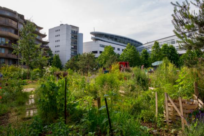 Aprés midi partagé au jardin
