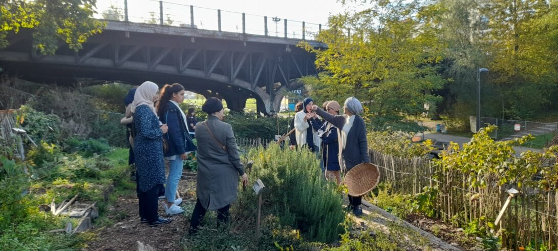 Portes ouvertes à Parckfarm & visite du jardin