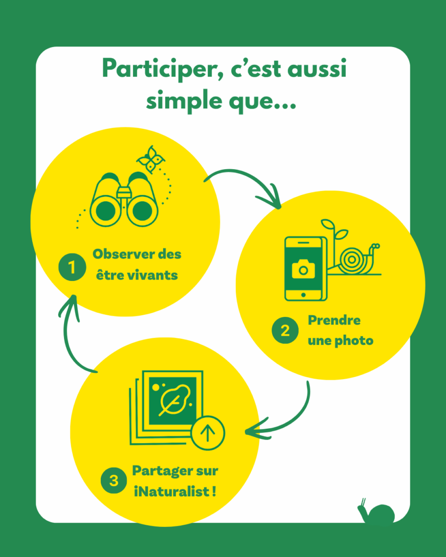 Participez au City Nature Challenge !