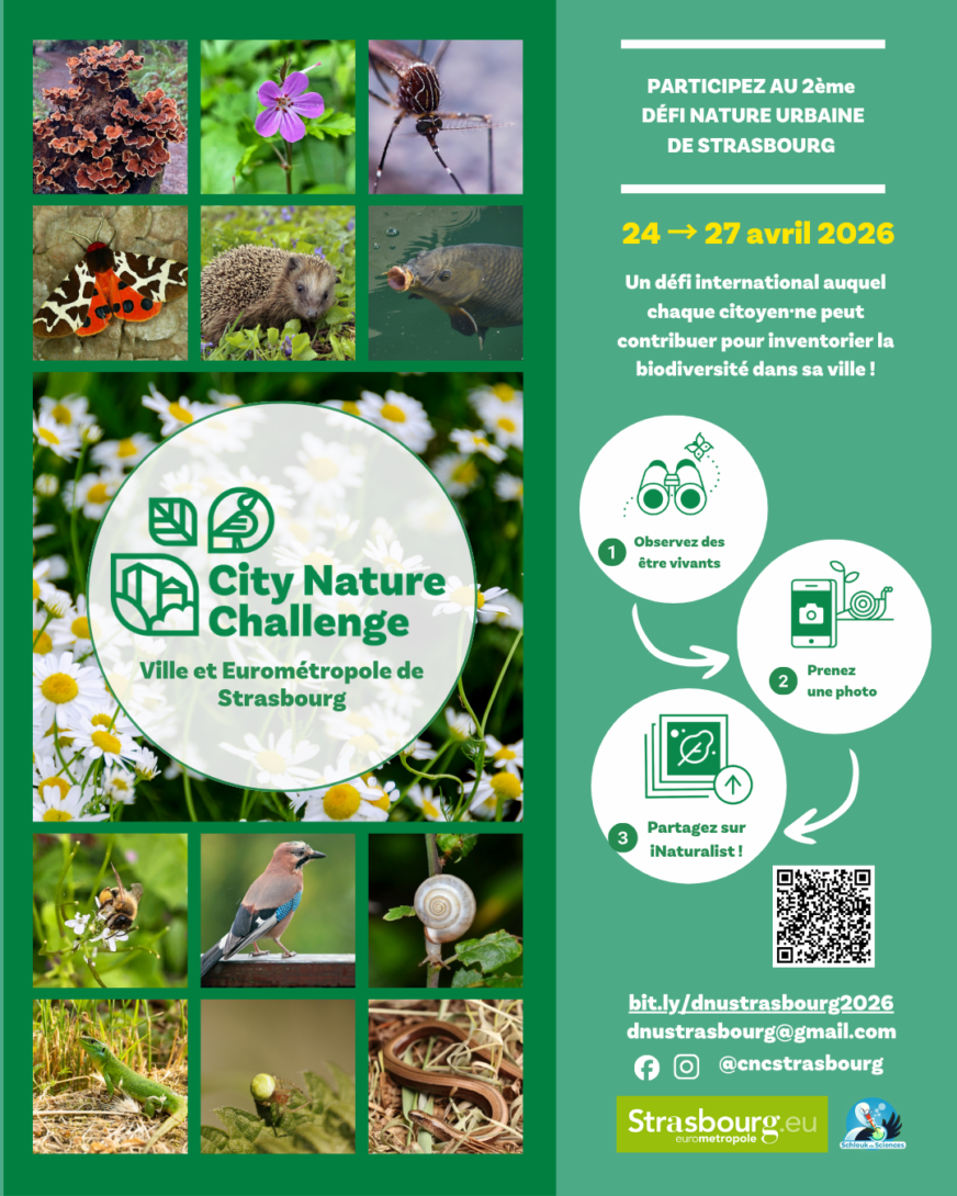 Participez au City Nature Challenge !