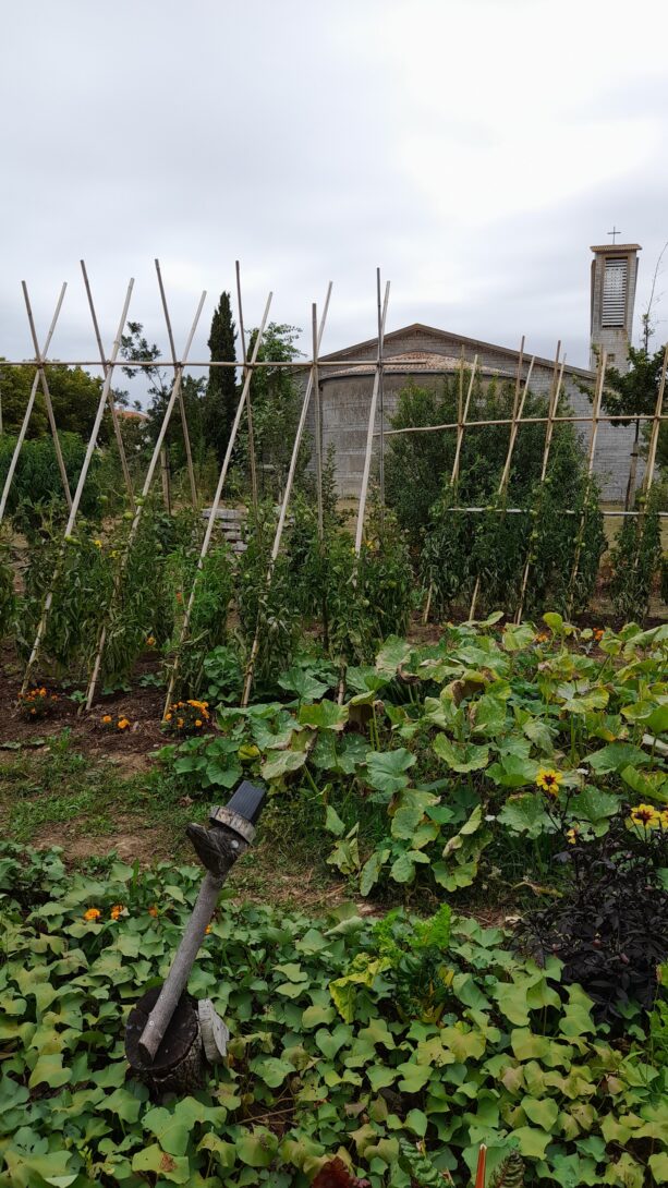 Visite du potager urbain de l&rsquo;équipe espaces verts de laleu