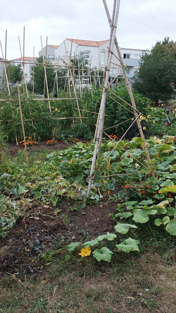 Visite du potager urbain de l&rsquo;équipe espaces verts de laleu
