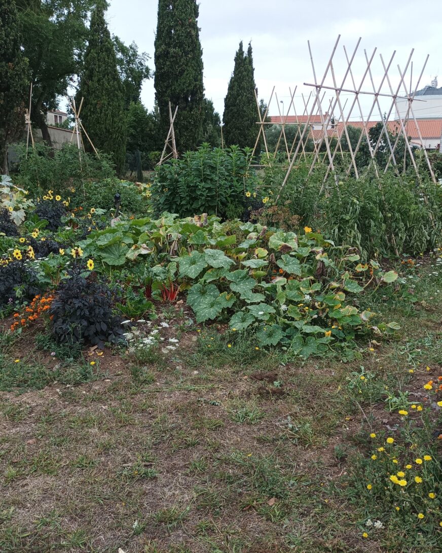 Visite du potager urbain de l&rsquo;équipe espaces verts de laleu