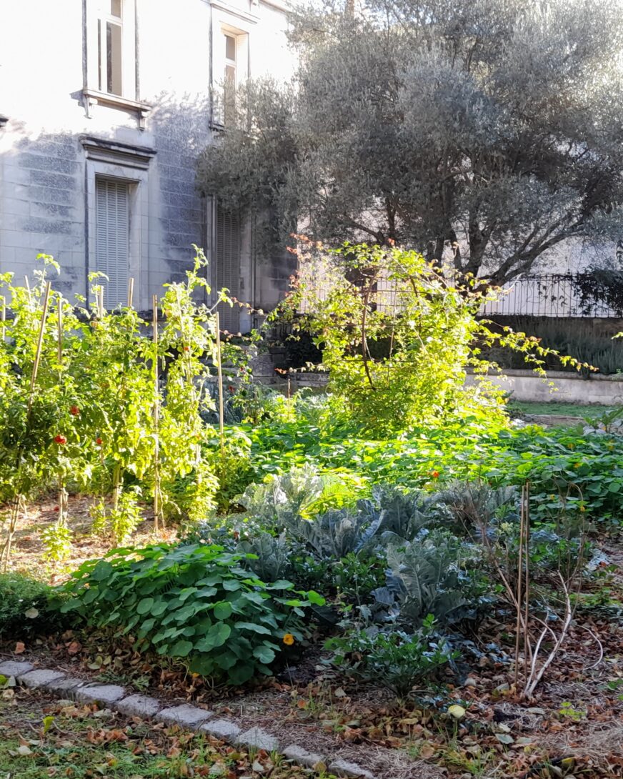 Visite du potager urbain de l&rsquo;équipe espaces verts de Prieuré-Jardin des Plantes