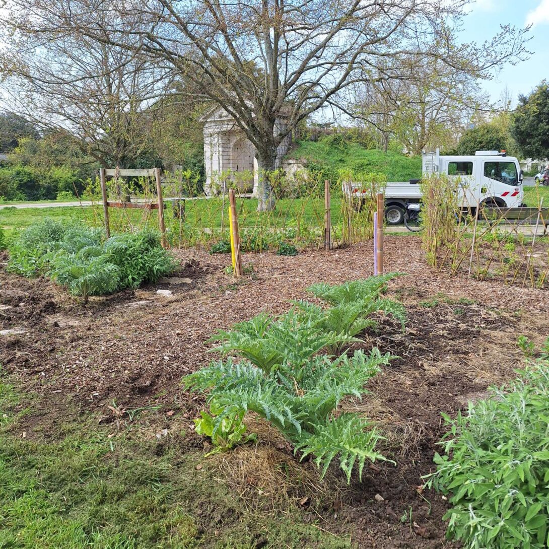 Visite du potager urbain de l&rsquo;équipe espaces verts de Villeneuve-Saint Eloi