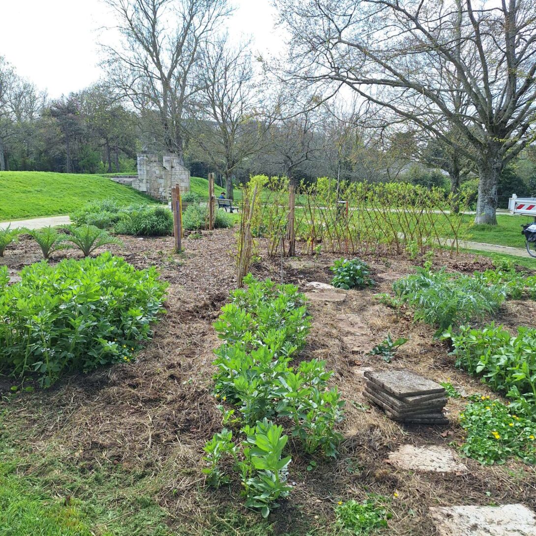 Visite du potager urbain de l&rsquo;équipe espaces verts de Villeneuve-Saint Eloi