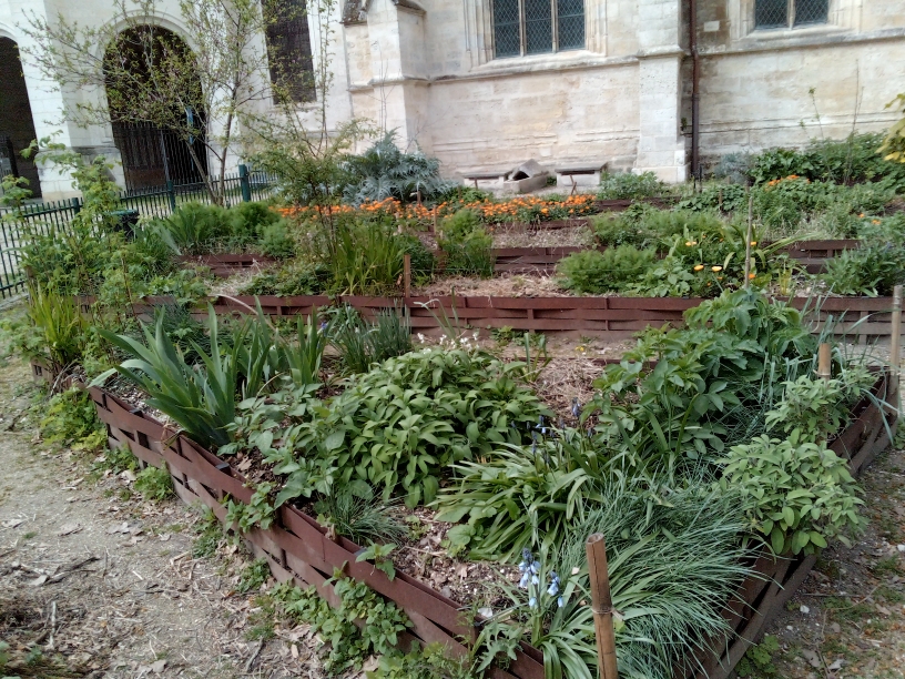Jardinage et papotage au jardin St Seurin