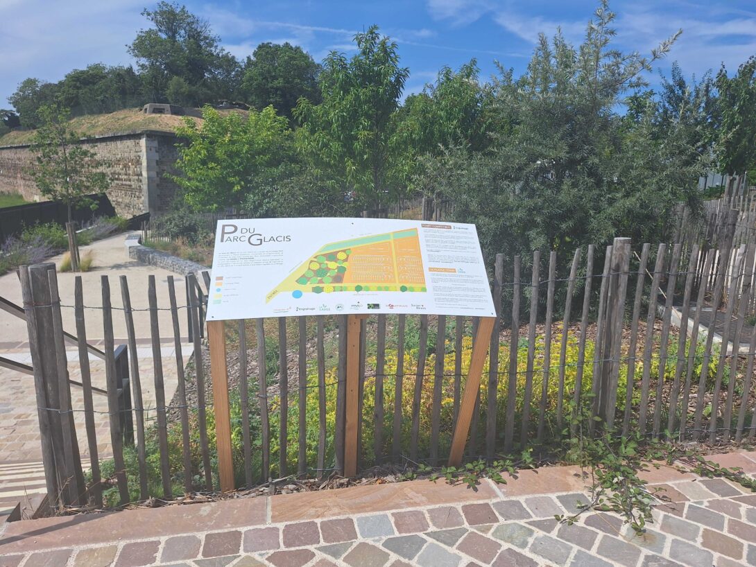 Saint-Denis : Expo photo, pour regarder la précarité alimentaire au-delà des clichés