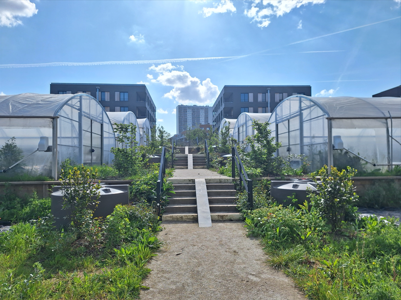 Saint-Denis : activités de jardinage