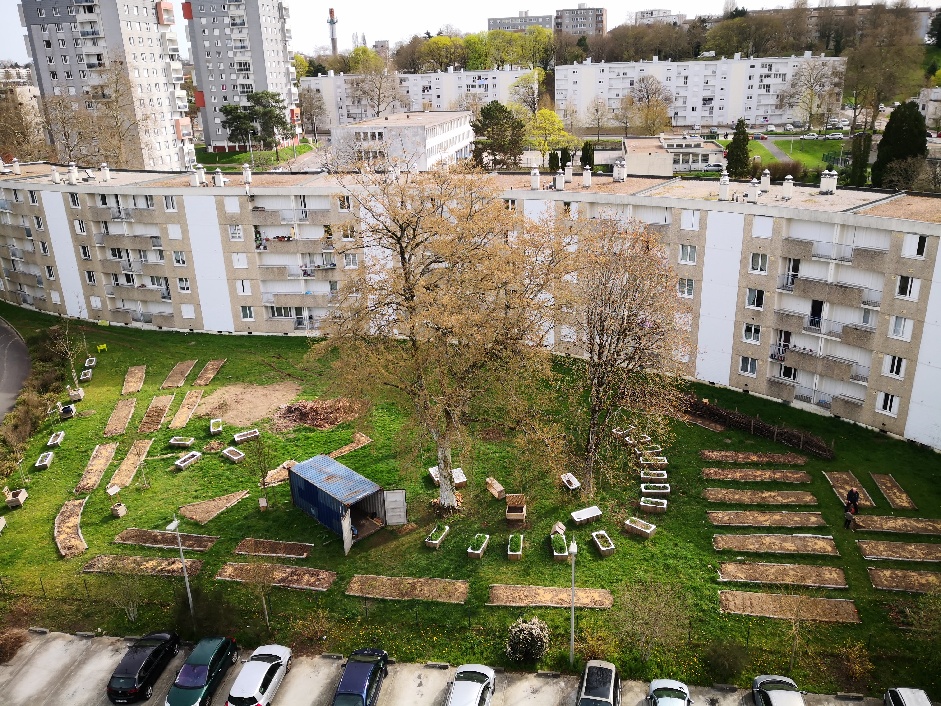 Plantation de vignes au Jardin participatif du Val de l&rsquo;Aurence sud