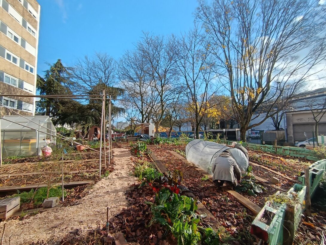 Les Lilas: Venez débattre des modes de production agricoles et/ou acheter qqs plants