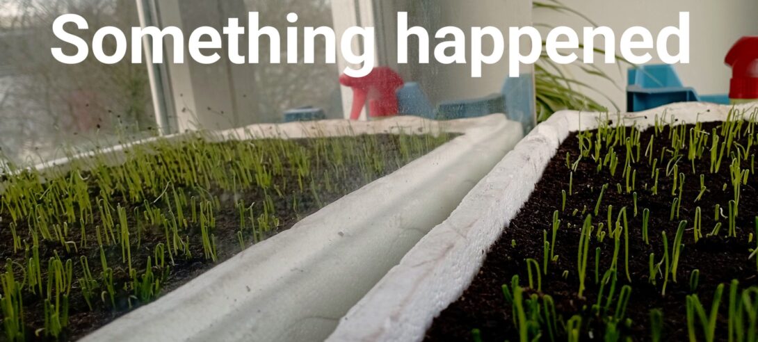 Les Lilas: Venez débattre des modes de production agricoles et/ou acheter qqs plants