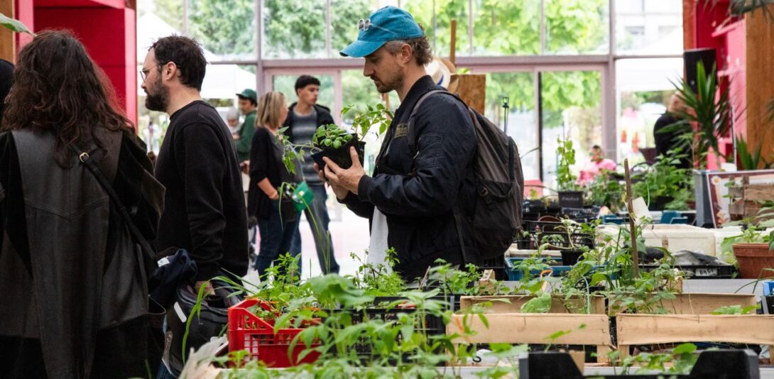 Saint-Ouen : Vente de plantes made in 93