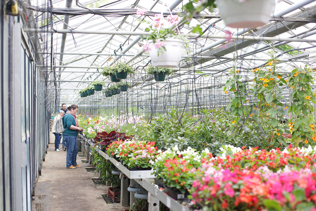 Visite de la Ferme Horticole de Lomme