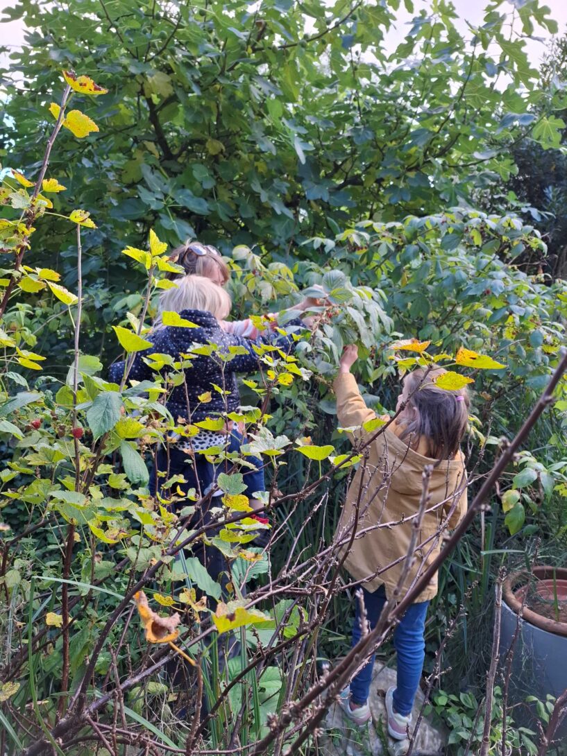Viens visiter mon potager ! – Nature et biodiversité chez un Guide Potager
