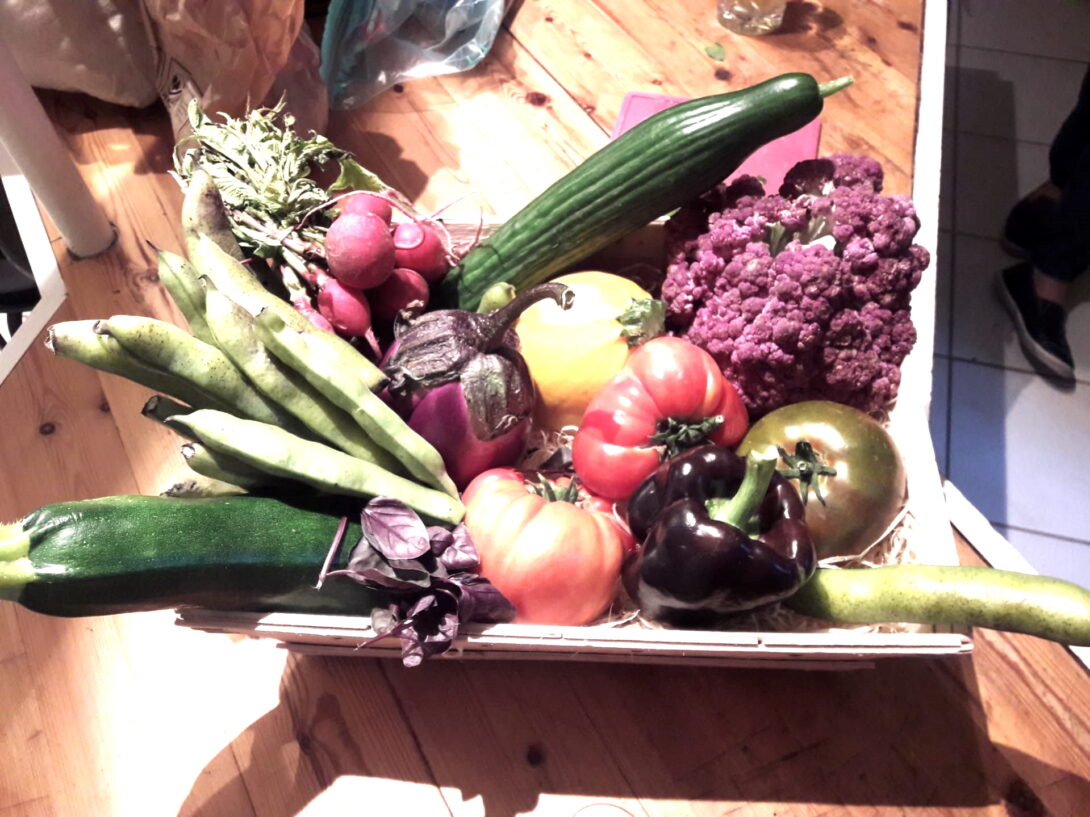 Portes ouvertes Biotiful au Vogelenzang