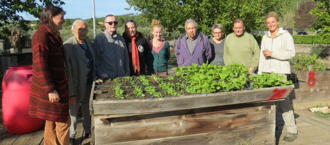 Construction de bacs potagers hors-sol