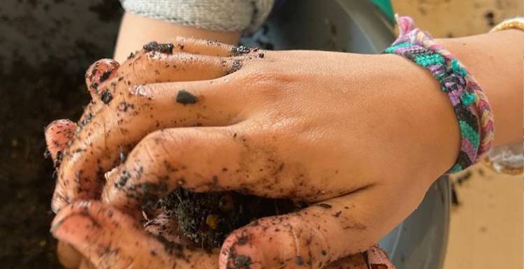 Fabrication de bombes à graines